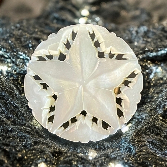 Vintage Hand Carved Mother of Pearl Star of Bethlehem Brooch Star of David Pin - Picture 1 of 4